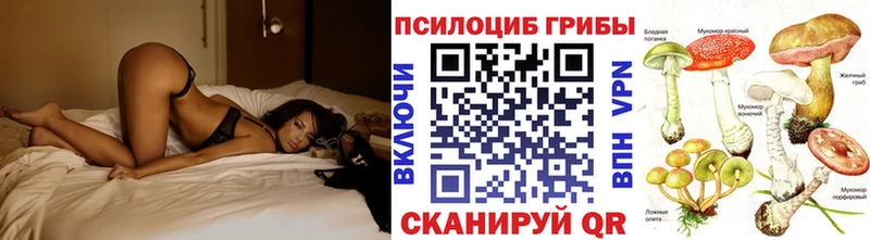 Псилоцибиновые грибы Psilocybe  купить наркотик  Чулым 